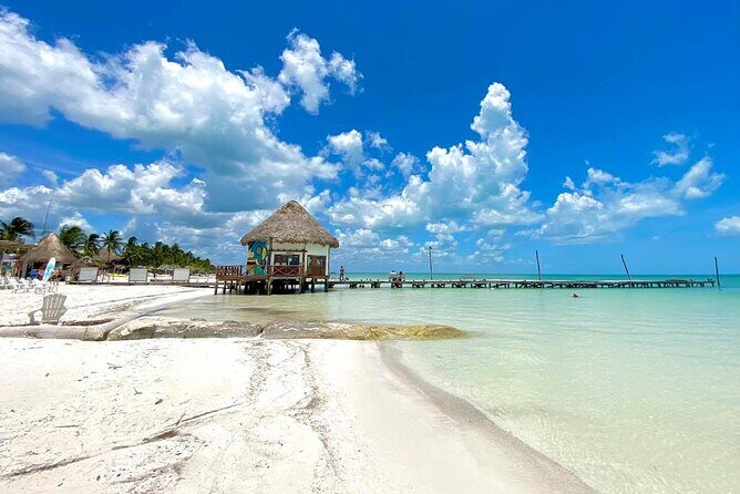 Holbox Island Punta Cocos & Punta Mosquito Tour! Playa Del Carmen - FAQ