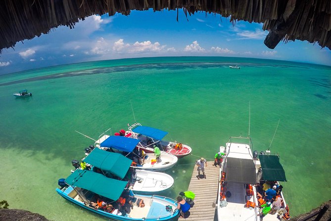 Holbox Island Tour Departure From Cancun - Additional Information