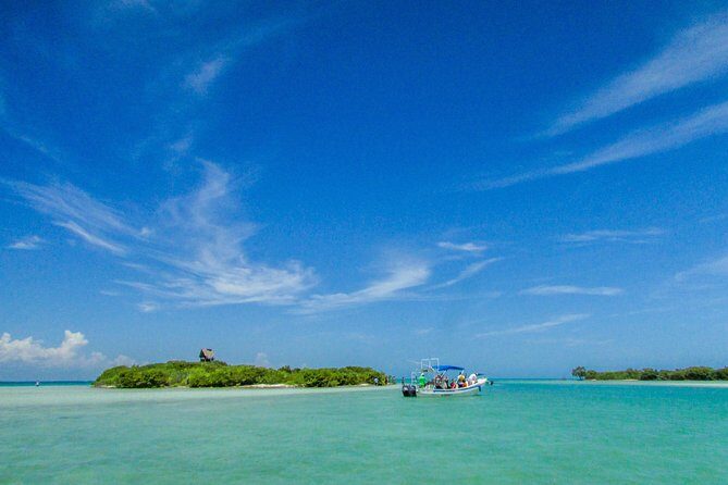 Holbox Island Tour from Cancun - An In-Depth Look at the Holbox Island Tour from Cancun