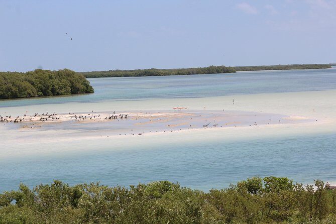 Holbox Island Tour From Cancun - Who Is This Tour Best For?