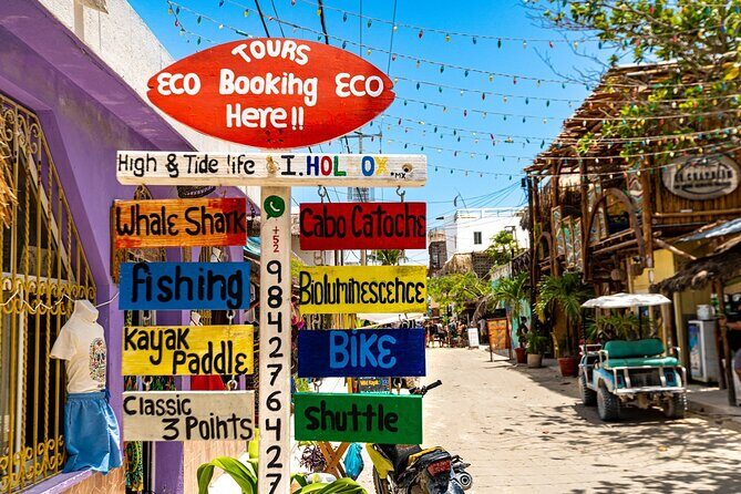 Holbox Island Tour with Pasion Island and Punta Mosquito - Value and Cost Analysis