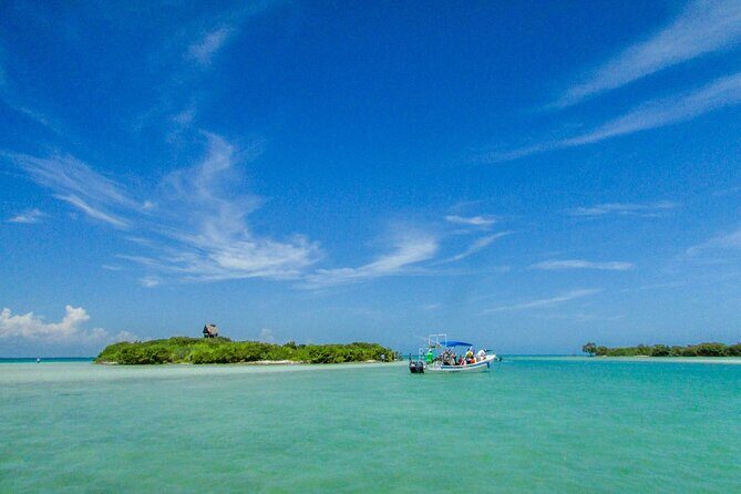 Holbox Island Tour with Pasion Island and Punta Mosquito - Authentic Insights from Other Travelers