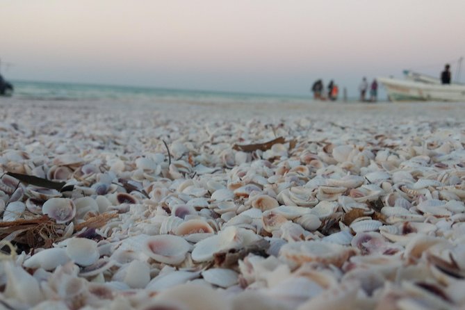 Holbox Island With Birds, Lagoon, Golf Cart and Lunch - Cancun - Common Questions