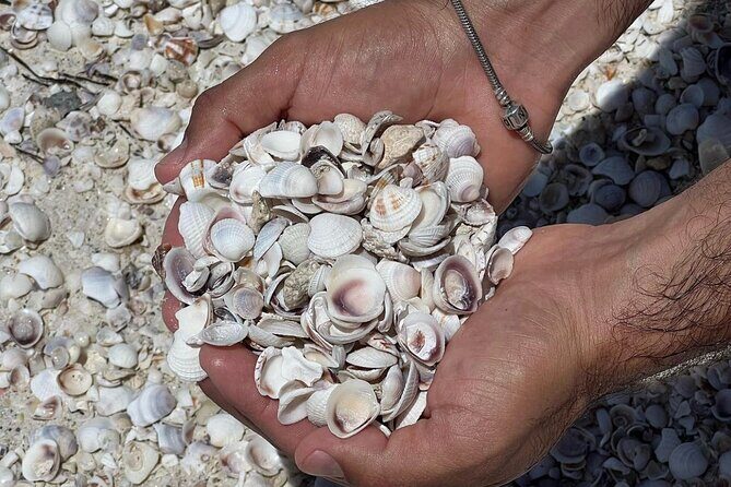 Holbox: Islas Pajaros, Yalahau & Isla de la Pasión with pick up - Authenticity & Practical Tips