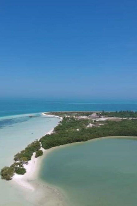 Holbox: Jungle, Lagoon, and Beach Tour With Meal - Participant Requirements