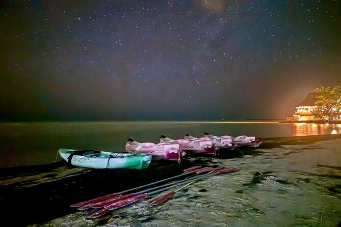 Holbox Kayak Bioluminescence Experience - Good To Know