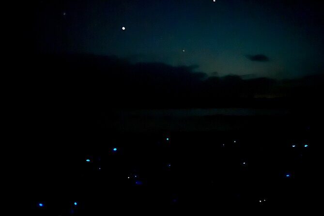 Holbox Kayak Bioluminescence Experience - Frequently Asked Questions