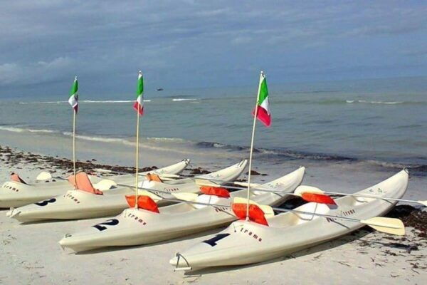 Holbox: Mangrove Paddling Excursion - Tailor Your Experience