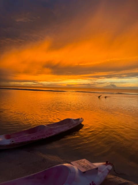 Holbox: Mangrove Sunset Kayak Tour - Itinerary