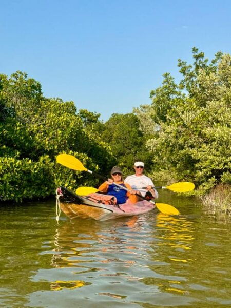 Holbox: Mangrove Sunset Kayak Tour - Customer Reviews