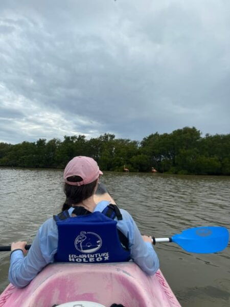 Holbox: Mangrove Sunset Kayak Tour - Group Size and Languages