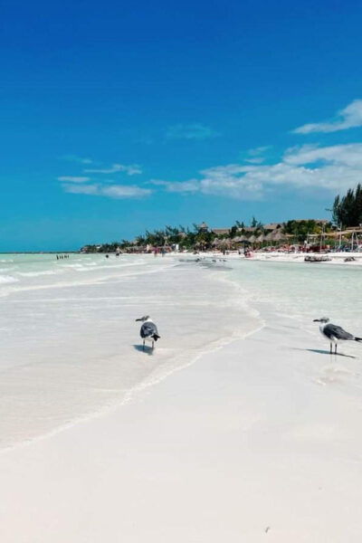 Holbox: Private Boat Tour With Breakfast and Lunch - Frequently Asked Questions