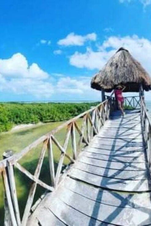 Holbox: Private Fishing and Snorkeling Tour - Experience Highlights