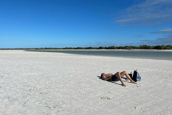 Holbox Punta Mosquito By Ferry only from Playa del Carmen - Who Would Love This Tour?