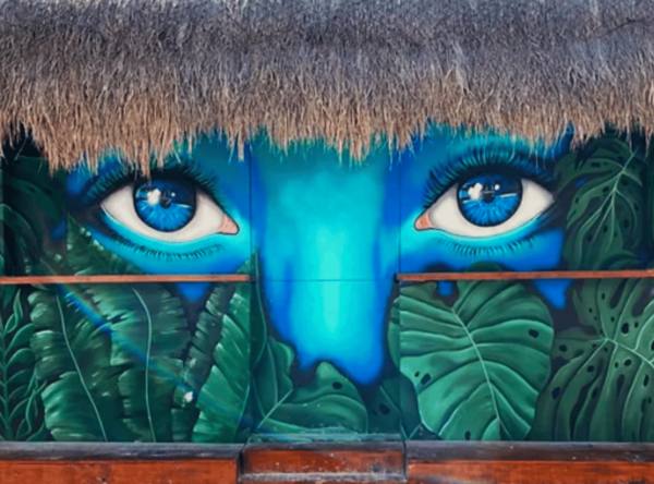 Holbox: Self-Guided Downtown Tour. Art, Culture, and History - Discover the Lush Mangrove Ecosystem
