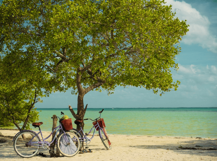 Holbox Self-Guided Tour: Explore the Island by Bike and SUP - Good To Know