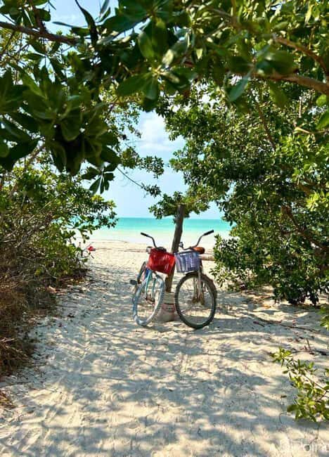 Holbox Self-Guided Tour: Map, Bike, SUP, Coffee & Snack incl - Exploring Holbox on Your Own Terms: A Self-Guided Adventure