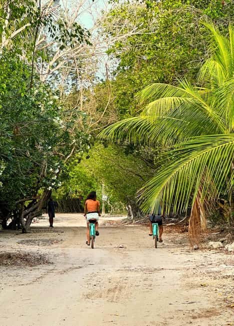 Holbox Self-Guided Tour: Map, Bike, SUP, Coffee & Snack incl - Good To Know