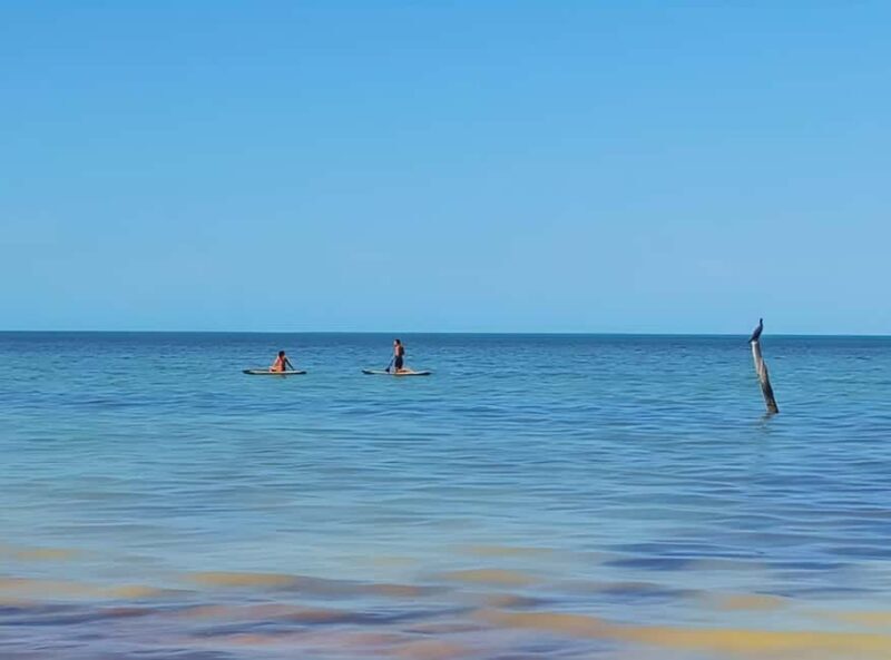 Holbox Self-Guided Tour: Map, Bike, SUP, Coffee & Snack incl - The Practical Side: Booking and Considerations
