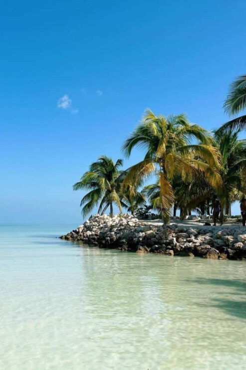 Holbox: Snorkeling and Beach Tour With Breakfast and Lunch - Experience Highlights