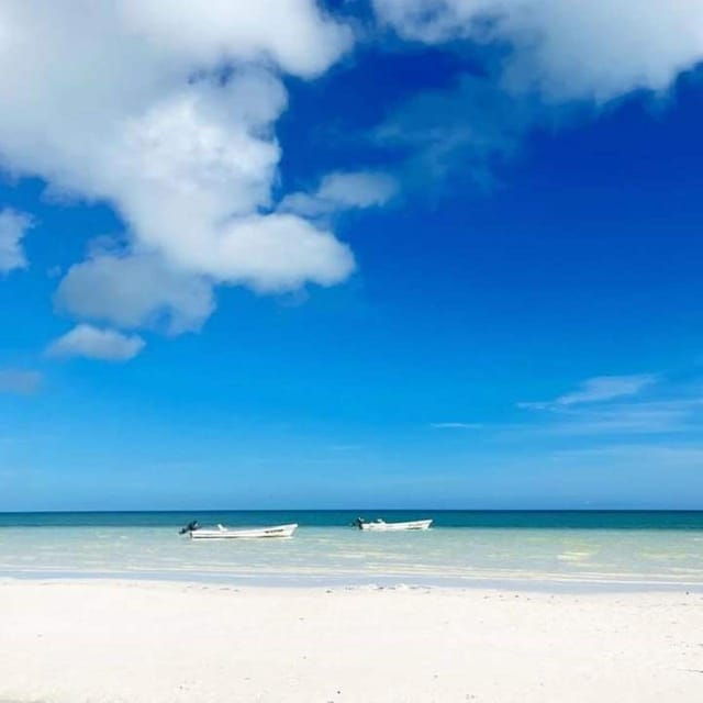 Holbox: Snorkeling and Beach Tour With Breakfast and Lunch - Tour Itinerary