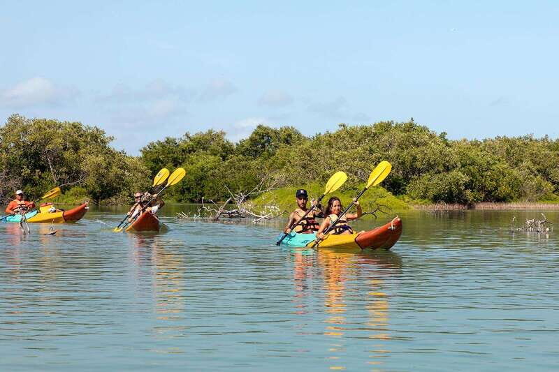 Holbox: Sunrise Kayak Tour through the Mangroves - What’s Included & What to Consider