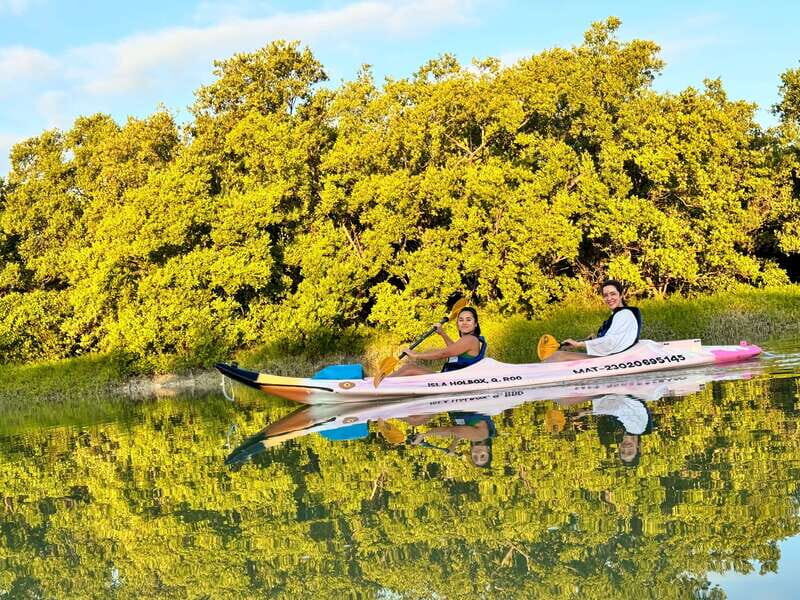 Holbox: Sunrise & Mangrove Kayak Tour - The Value Proposition