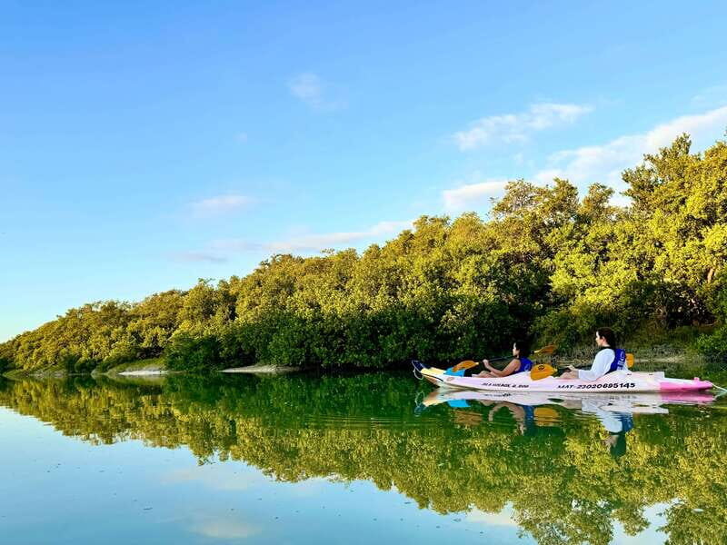 Holbox: Sunrise & Mangrove Kayak Tour - FAQ