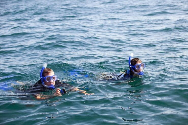 Holbox: Swimming With Wild Whale Sharks Boat Trip - Good To Know