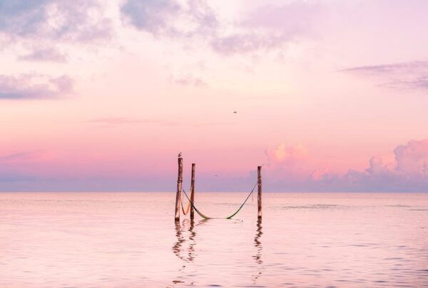 Holbox Tour From Cancun and Riviera Maya - Additional Fees and Charges