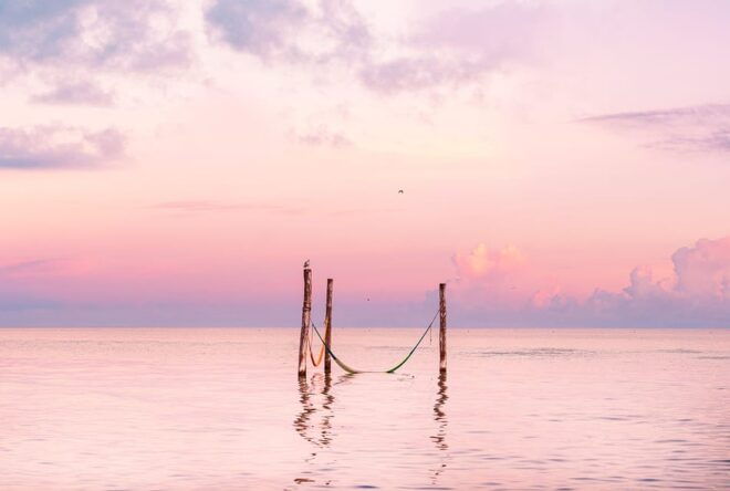 Holbox Tour From Cancun and Riviera Maya - Inclusions and Exclusions