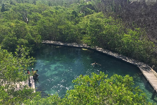 Holbox Tour From Cancun and Riviera Maya - Terms and Conditions for Booking