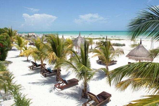 Holbox Tour From Cancun and Tulum With Boat Included - Customer Reviews
