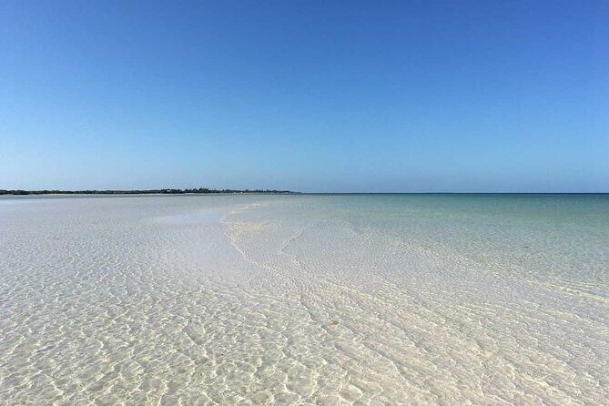 Holbox Tour! Nature Adventure from Cancun & Playa Del Carmen - Exploring the Full Itinerary