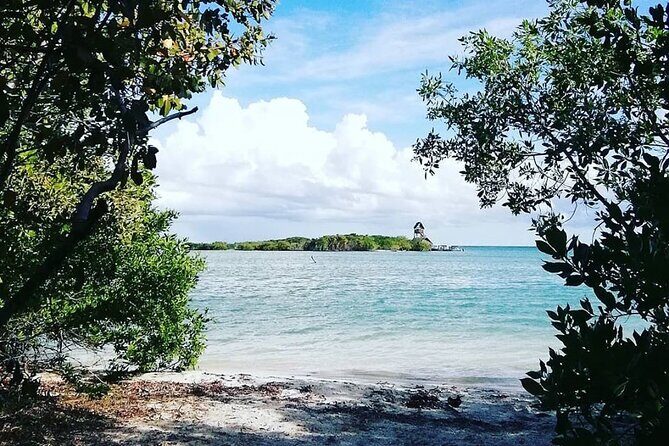 Holbox Tour! Nature Adventure from Cancun & Playa Del Carmen - Who Is This Tour Best For?