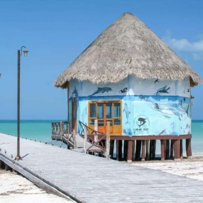 Holbox: Tour of Holbox Island, Isla Pasión, and Punta Mosquito. - Who Should Consider This Tour?  