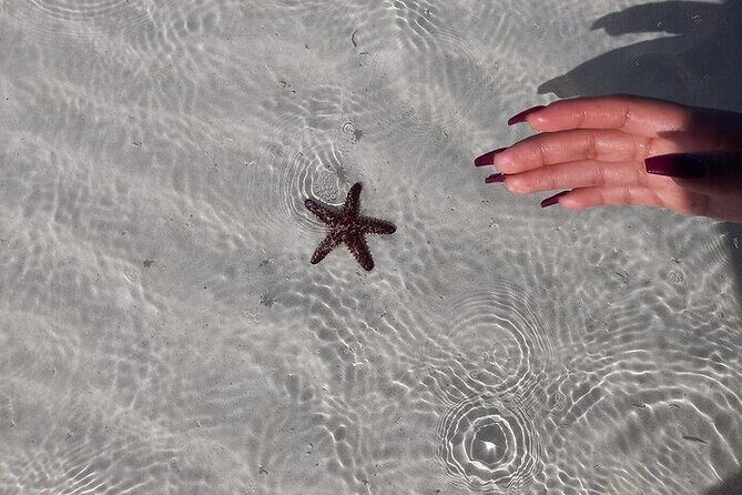 Holbox Tour Punta Mosquito from Cancun - Punta Mosquito: A Natural Wonder