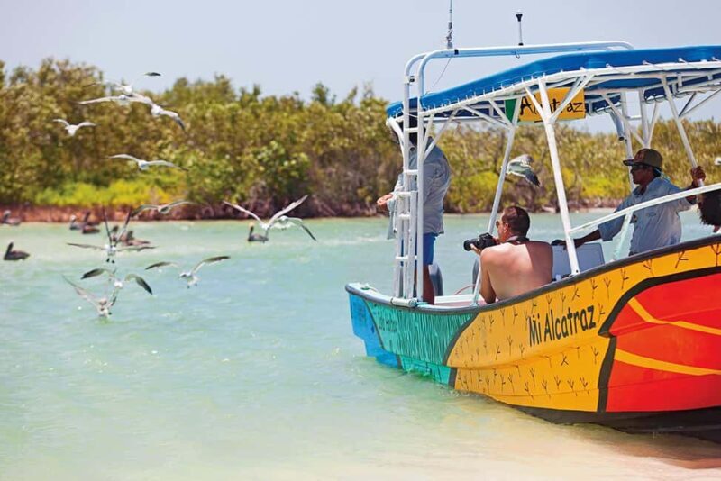 Holbox: Traditional Fishing Tour with Ceviche Tasting - Exploring the Traditional Fishing Tour in Holbox