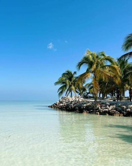 Holbox: Whale Shark and Snorkeling Tour - Tour Details