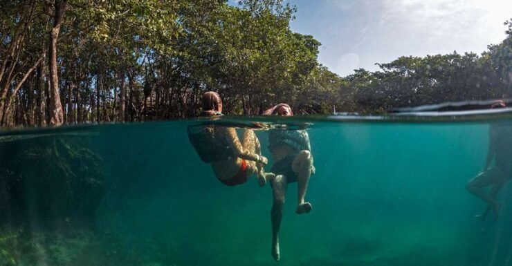 Holbox: Yalahau, Passion Island and Punta Mosquito Boat Tour - Activity Details