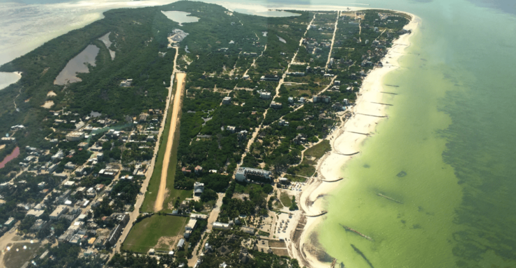 Holbox:Private Tour With Air Transportation - Good To Know