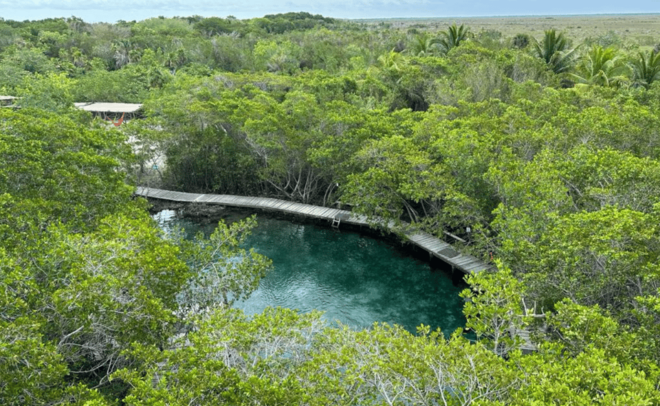 Holbox:Private Tour With Air Transportation - Inclusions