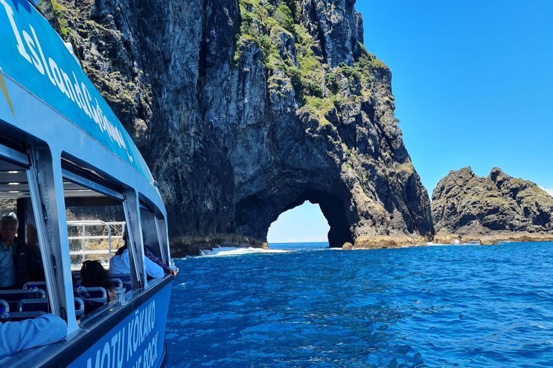 Hole in the Rock Cruise and Island Tour in Bay of Islands - Māori stories and wildlife add context