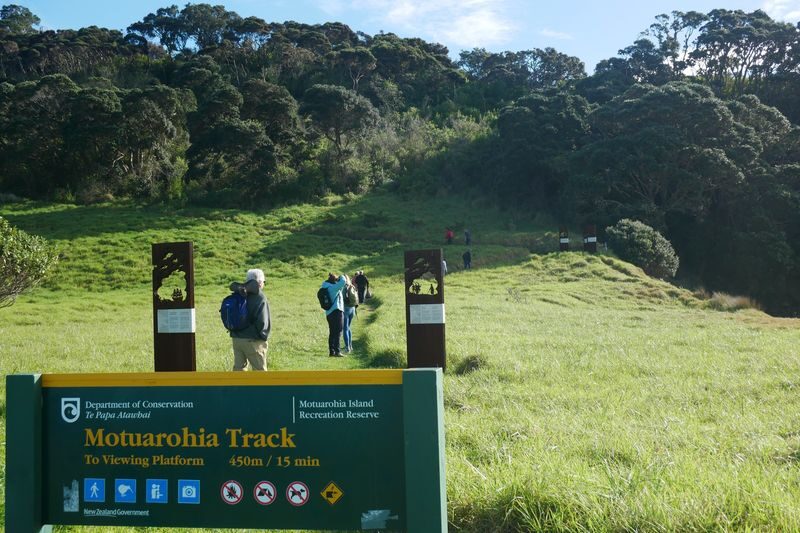 Hole in the Rock Cruise and Island Tour in Bay of Islands - What the price buys you