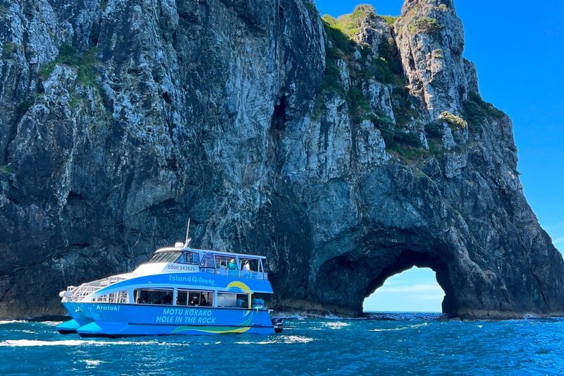 Hole in the Rock Cruise and Island Tour in Bay of Islands - Who should book this cruise