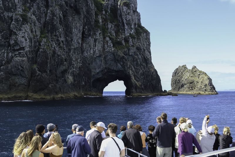 Hole in the Rock Dolphin Cruise - What makes this cruise worth considering