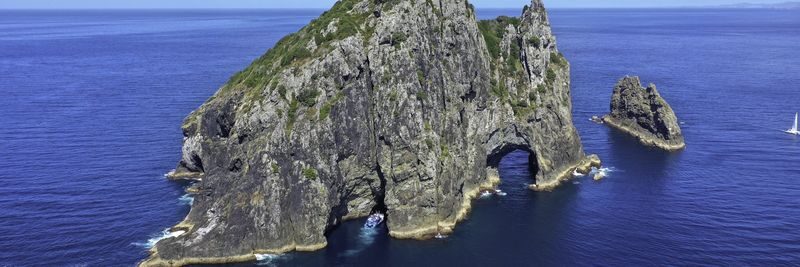 Hole in the Rock Dolphin Cruise - Cape Brett and the Hole in the Rock
