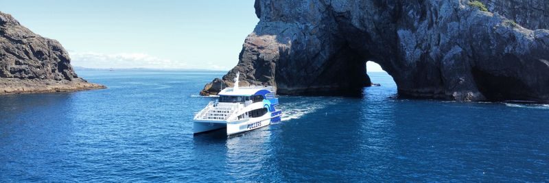 Hole in the Rock Dolphin Cruise - Price and what your fare covers
