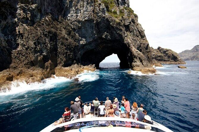 Hole in the Rock Dolphin Cruise Tour Round Trip from Auckland - Final Words