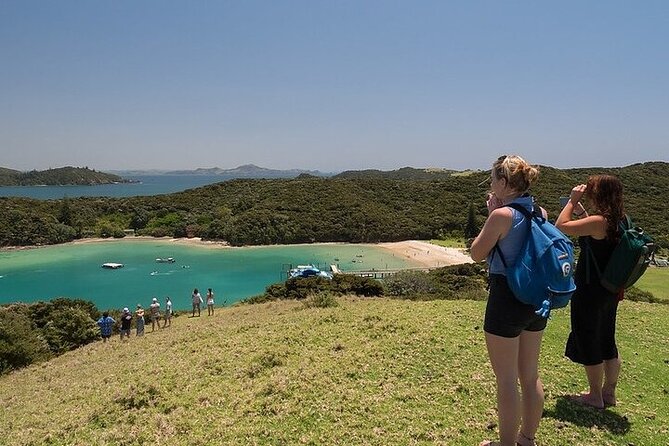 Hole in the Rock Scenic Cruise Including Dolphins and Island Stop - Comfort and Refreshments
